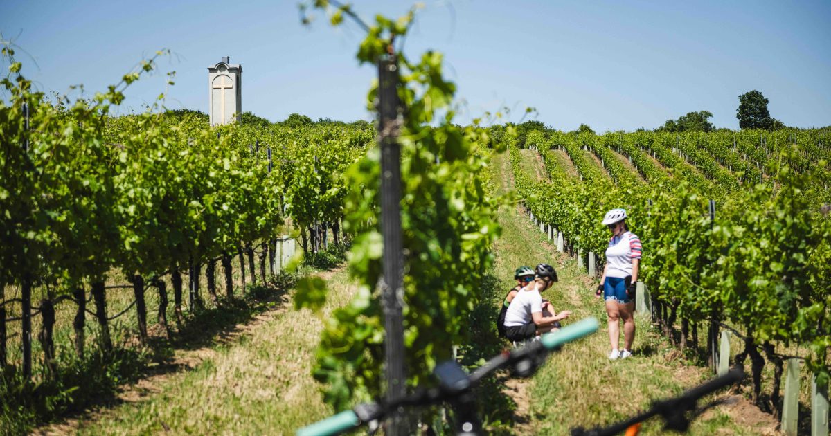 Cyklojazda Regiónom Trnava po vinohradníckej cyklotrase, zdroj foto: Mtbiker