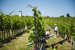 Cyklojazda Regiónom Trnava po vinohradníckej cyklotrase, zdroj foto: Mtbiker